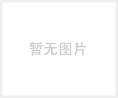 不锈钢带（430.410.409l）